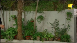 Guddu - Episode 23 - 9th Sep 2022